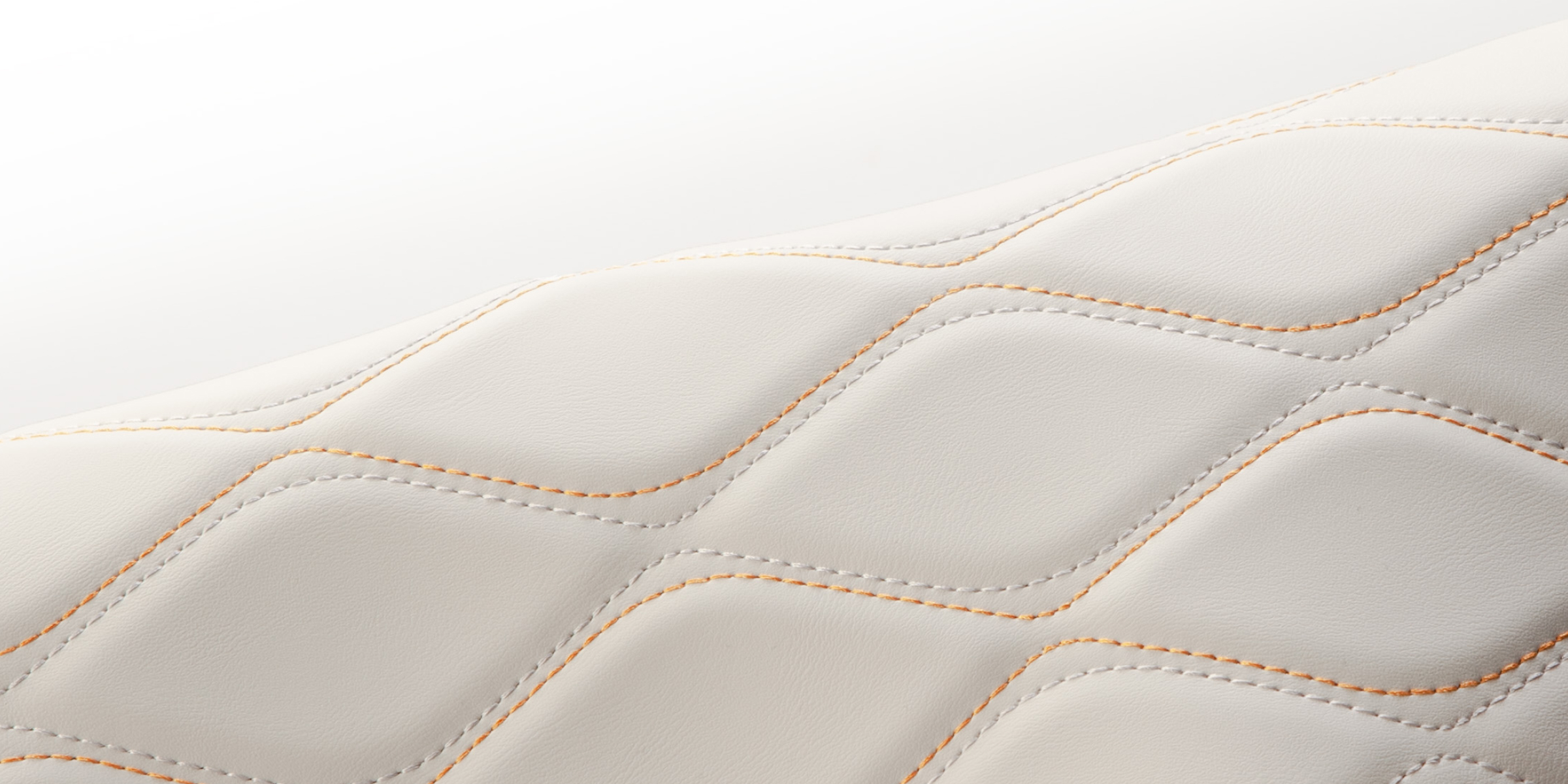 Close-up of a Sage synthetic